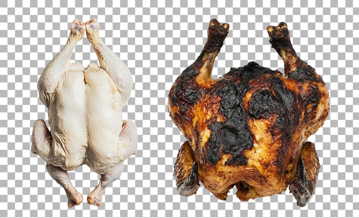 PSD pacote de frango cru e queimado contra um fundo transparente para discussões culinárias e apresentações de segurança alimentar