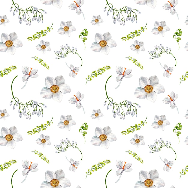 Padrão de flor de anêmona branca pintura a aquarela desenhada à mão