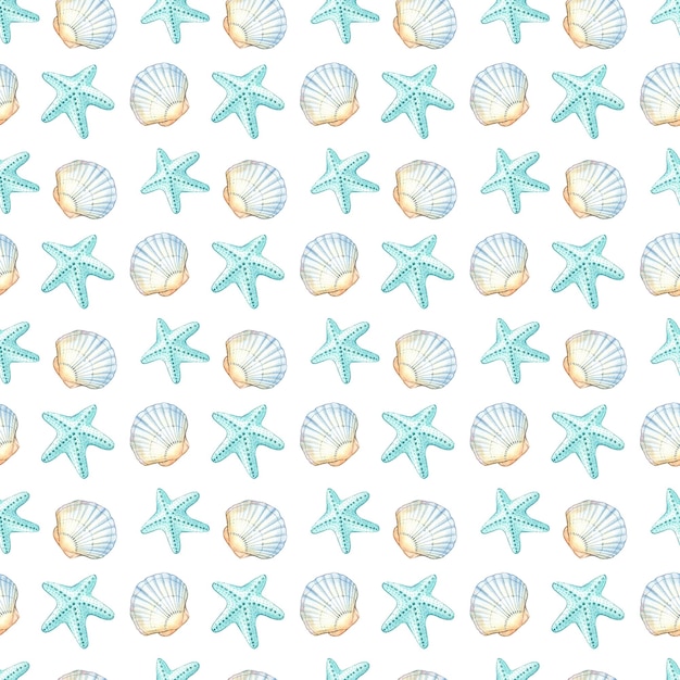 Padrão perfeito de conchas e estrelas-do-mar com um tema de praia