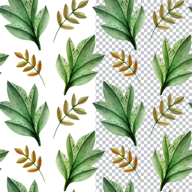Padrão perfeito de natureza selvagem com folhas verdes Arte botânica desenhada à mão em aquarela