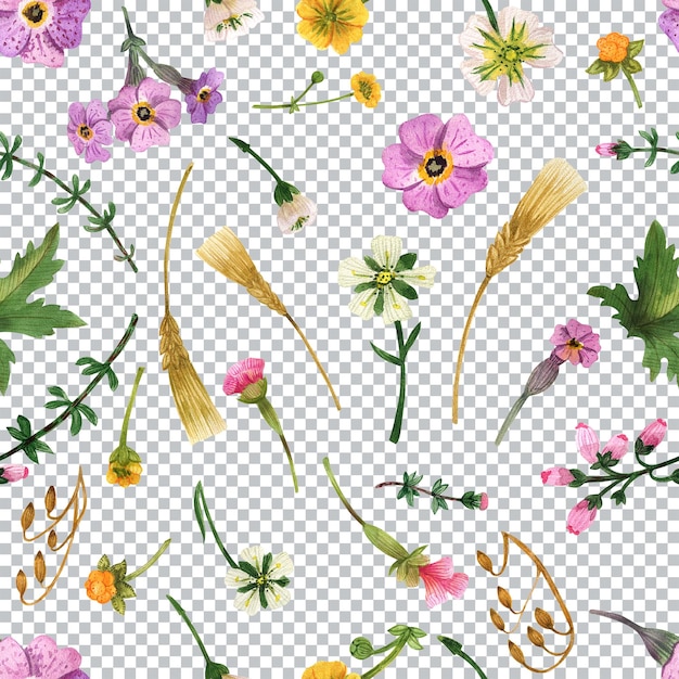 Padrão sem emenda de flores escocesas. Decoração têxtil floral em aquarela
