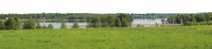 PSD paesaggi naturali di alberi e parchi con prati aperti e vedute rurali