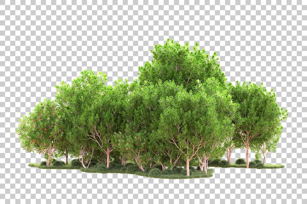 Paesaggio isolato su sfondo trasparente illustrazione di rendering 3D