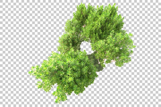 Paesaggio isolato su sfondo trasparente illustrazione di rendering 3D