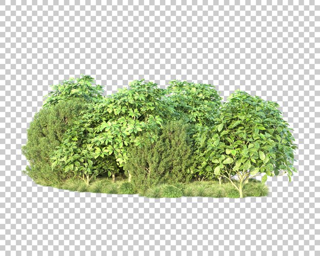 Paesaggio verde isolato su sfondo trasparente 3d rendering illustrazione