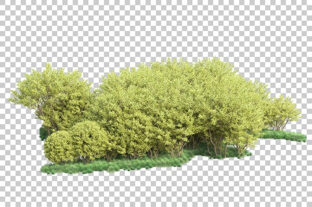 Paesaggio verde isolato su sfondo trasparente 3d rendering illustrazione