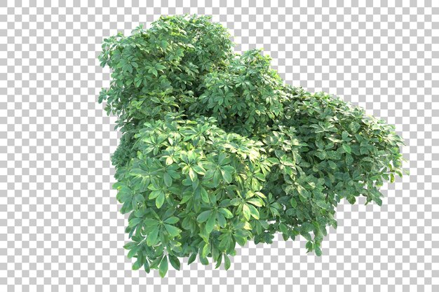 Paesaggio verde isolato su sfondo trasparente 3d rendering illustrazione