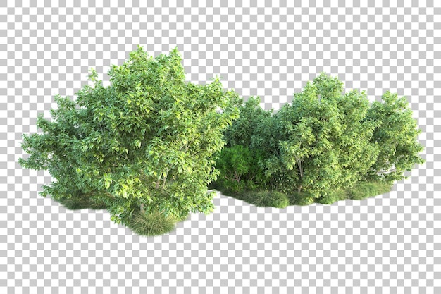 Paesaggio verde isolato su sfondo trasparente 3d rendering illustrazione