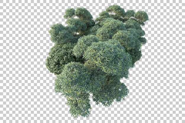 Paesaggio verde isolato su sfondo trasparente 3d rendering illustrazione