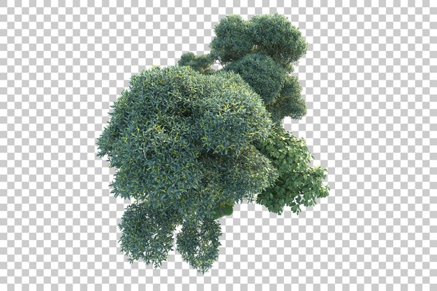 Paesaggio verde isolato su sfondo trasparente 3d rendering illustrazione