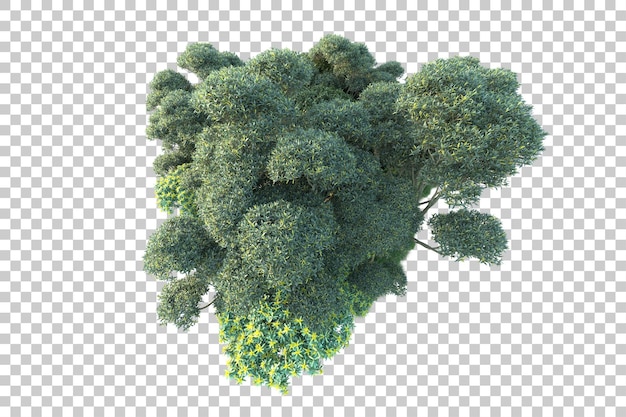 Paesaggio verde isolato su sfondo trasparente 3d rendering illustrazione