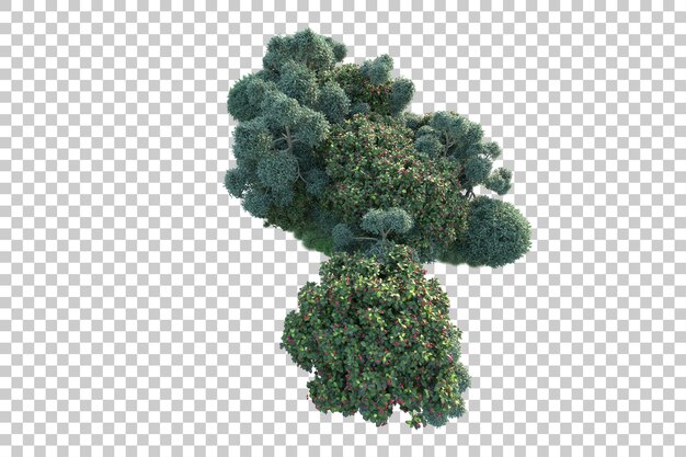 Paesaggio verde isolato su sfondo trasparente 3d rendering illustrazione