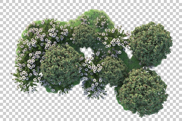 Paesaggio verde isolato su sfondo trasparente 3d rendering illustrazione