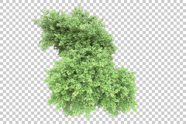 Paesaggio verde isolato su sfondo trasparente illustrazione del rendering 3d