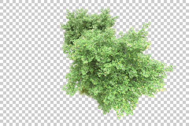 Paesaggio verde isolato su sfondo trasparente illustrazione del rendering 3d