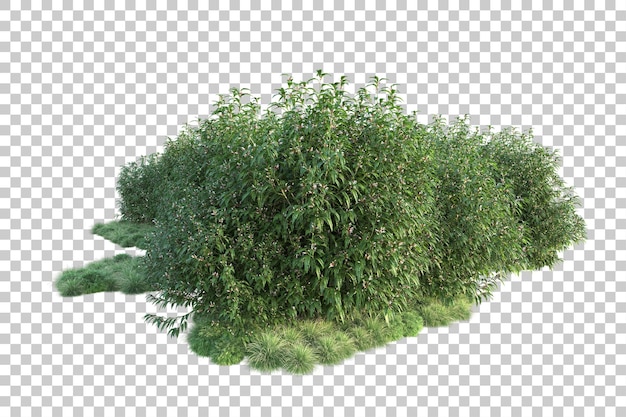 Paesaggio verde isolato su sfondo trasparente illustrazione del rendering 3d