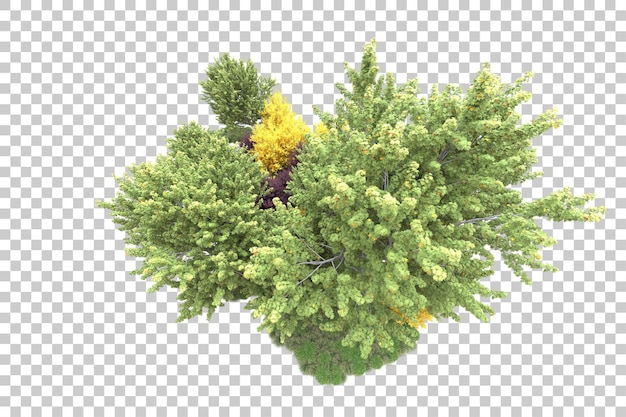 Paesaggio verde isolato su sfondo trasparente illustrazione del rendering 3d