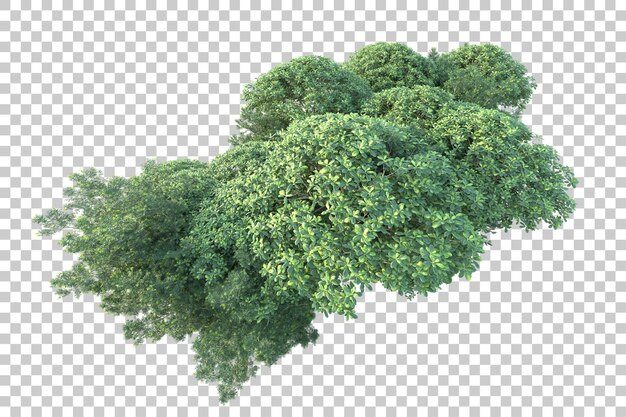 Paesaggio verde isolato su sfondo trasparente illustrazione del rendering 3d