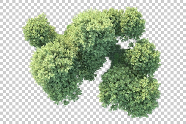 Paesaggio verde isolato su sfondo trasparente illustrazione del rendering 3d