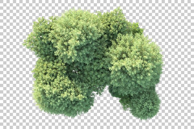 Paesaggio verde isolato su sfondo trasparente illustrazione del rendering 3d