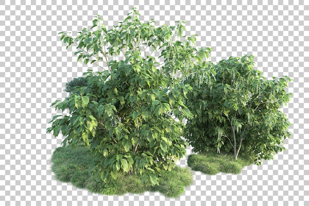 Paesaggio verde isolato su sfondo trasparente illustrazione del rendering 3d