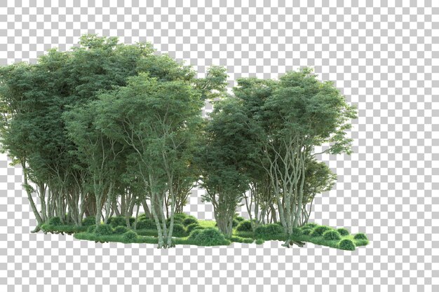 Paesaggio verde isolato su sfondo trasparente illustrazione del rendering 3d