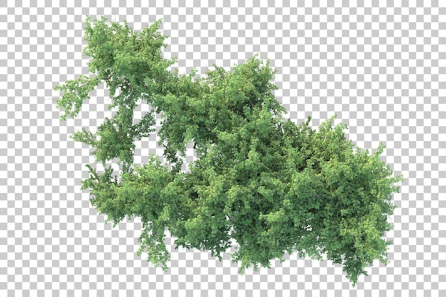 Paesaggio verde isolato su sfondo trasparente illustrazione del rendering 3d