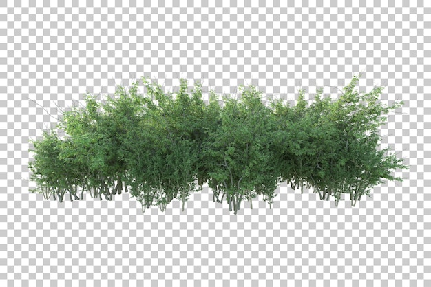 Paesaggio verde isolato su sfondo trasparente illustrazione del rendering 3d
