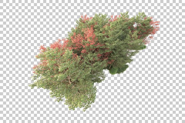 Paesaggio verde isolato su sfondo trasparente illustrazione del rendering 3d