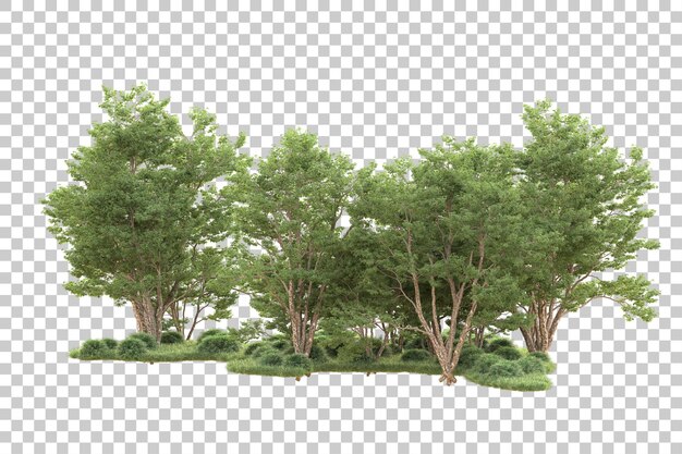 Paesaggio verde isolato su sfondo trasparente illustrazione del rendering 3d