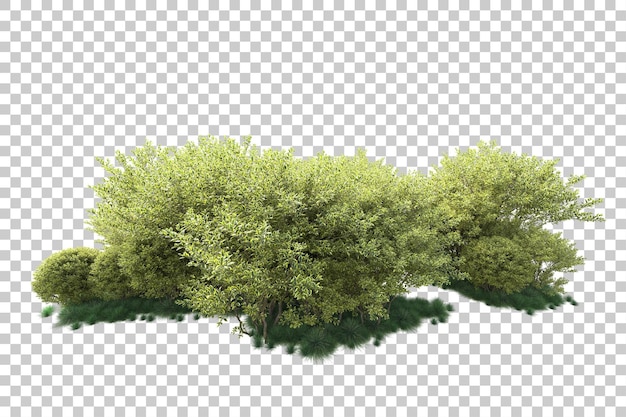 Paesaggio verde isolato su uno sfondo trasparente illustrazione di rendering 3D