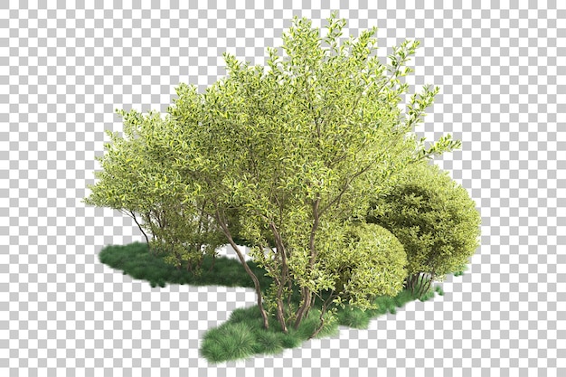 Paesaggio verde isolato su uno sfondo trasparente illustrazione di rendering 3D