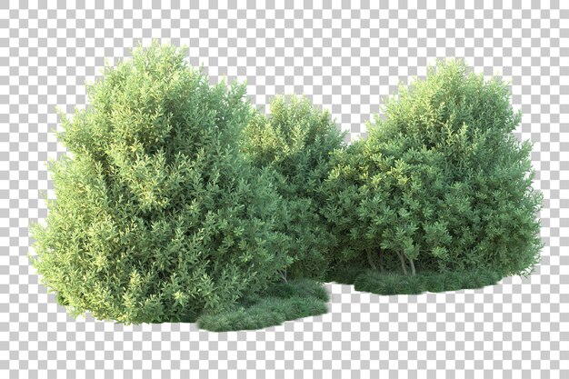 Paesaggio verde isolato su uno sfondo trasparente illustrazione di rendering 3D