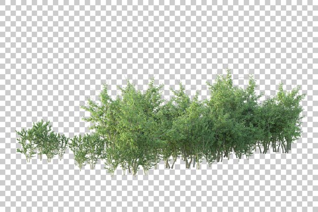 Paesaggio verde isolato su uno sfondo trasparente illustrazione di rendering 3D