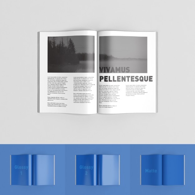 pages de magazines maquette