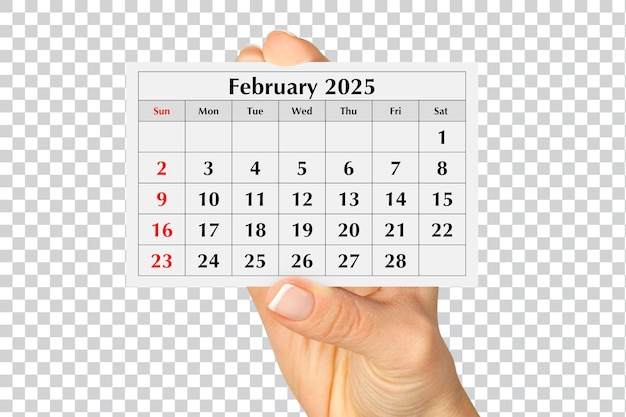 Pagina del calendario mensile annuale febbraio 2025 in mano Isolato su psd trasparente