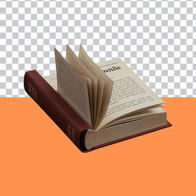 Pagine del libro aperto isolate