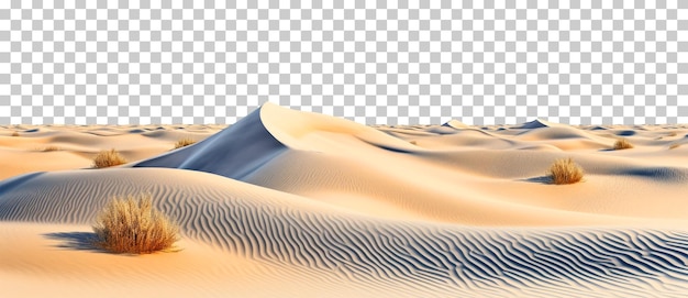 Gráfico De Vetor Do Deserto Escaldante PNG , Areia Movediça, O Deserto,  Deserto Do Saara Imagem PNG e PSD Para Download Gratuito