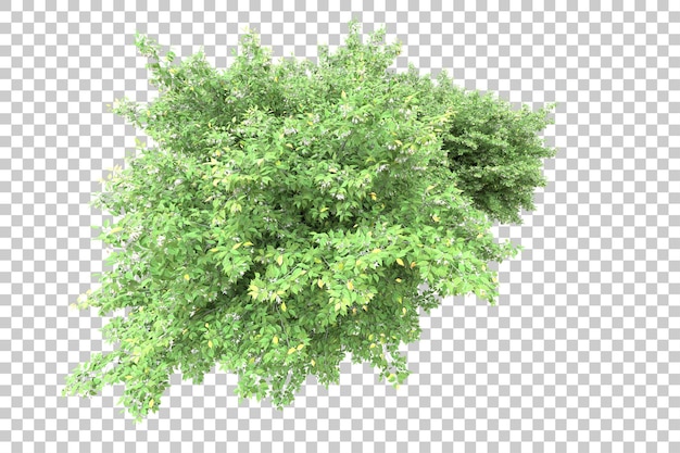 Paisagem verde isolada em fundo transparente ilustração de renderização 3d
