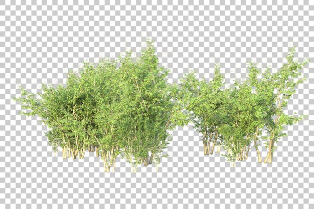 Paisagem verde isolada em fundo transparente ilustração de renderização 3d