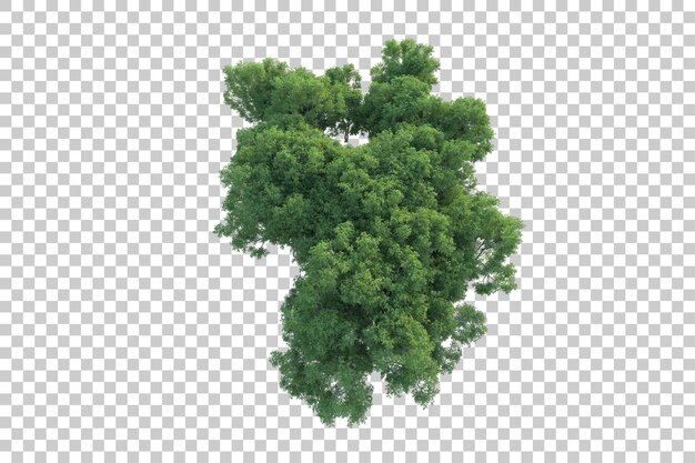 PSD paisagem verde isolada em fundo transparente ilustração de renderização 3d