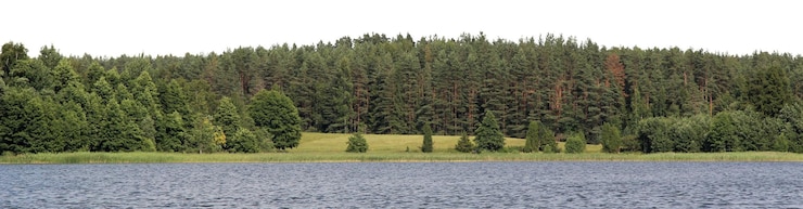 PSD paisagens naturais de árvores e parques com prados abertos e vistas rurais