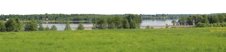 PSD paisagens naturais de árvores e parques com prados abertos e vistas rurais