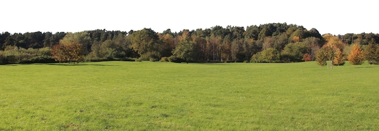 PSD paisagens naturais de árvores e parques com prados abertos e vistas rurais
