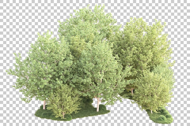 Paisaje aislado en un fondo transparente Ilustración de renderización 3D