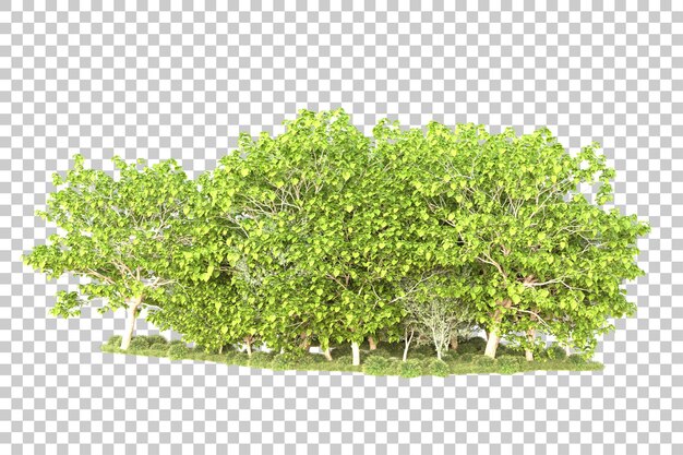 Paisaje aislado en un fondo transparente Ilustración de renderización 3D