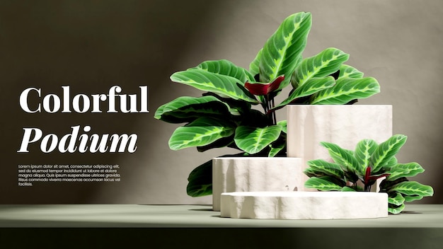 en paisaje planta de calathea verde imagen de renderizado 3d maqueta vacía podio con textura blanca