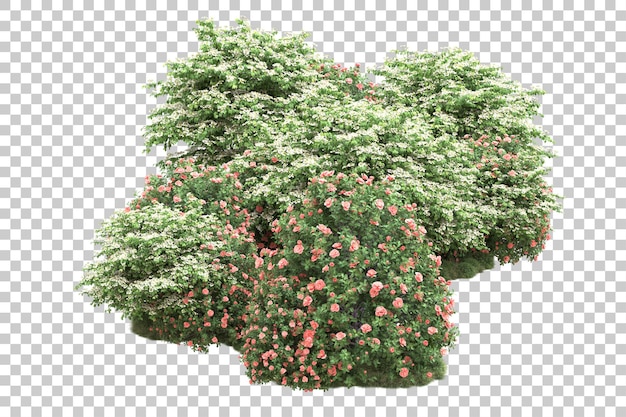 Paisaje verde aislado en un fondo transparente Ilustración de renderización 3D