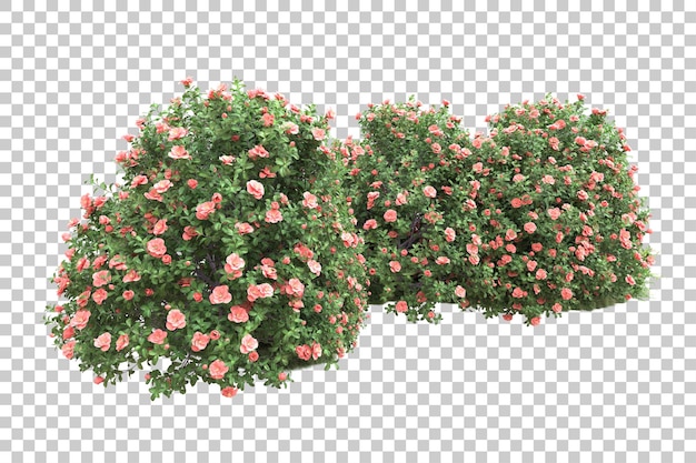 Paisaje verde aislado en un fondo transparente Ilustración de renderización 3D