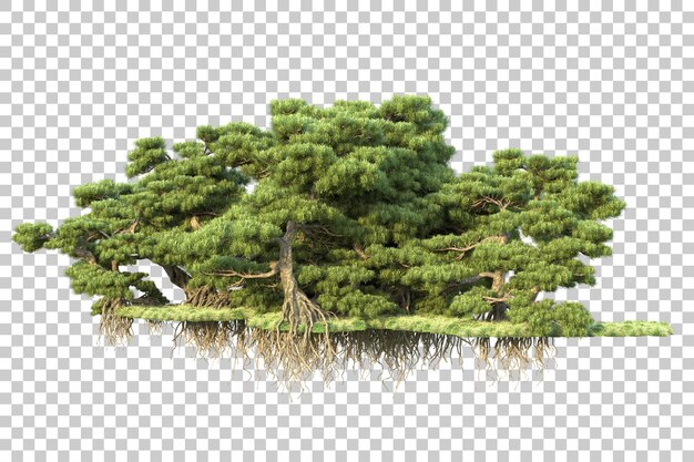 Paisaje verde aislado en un fondo transparente Ilustración de renderización 3D